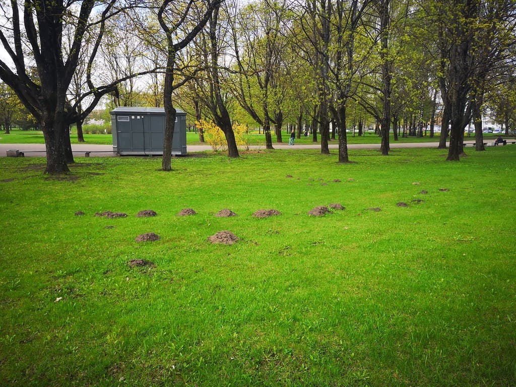 Podróż w kraju „Łotwa”